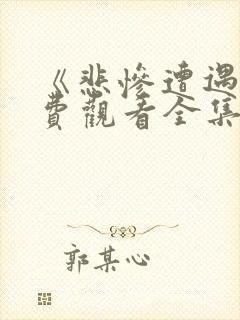 《悲惨遭遇》免费观看全集在线封面