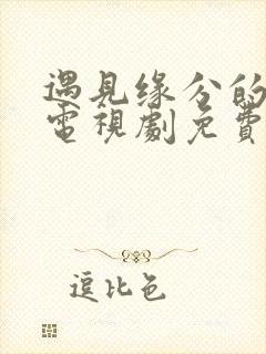 遇见缘分的少女电视剧免费观看全集