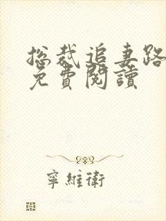 总裁追妻路漫漫免费阅读