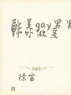 欧美gay男男野外做爰