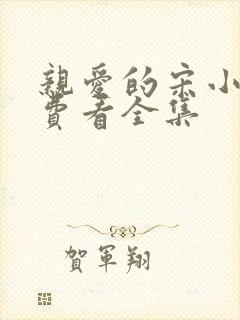 亲爱的宋小姐免费看全集