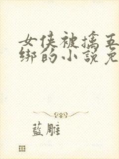 女侠被擒五花大绑的小说免费阅读封面