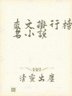 爽文排行榜前十名小说
