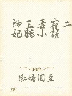 神王毒宠二嫁王妃听小说