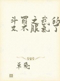 斗罗之我的系统又不服气了小说免费