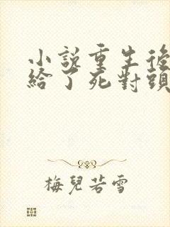 小说重生后我嫁给了死对头完整版