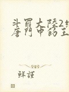 斗罗大陆2绝世唐门中的王冬