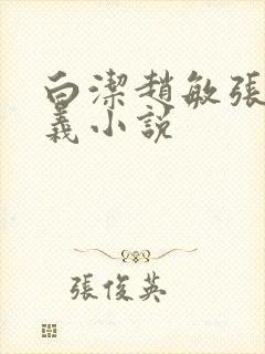 白洁赵敏张倩高义小说封面