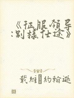 《征服领导夫人:别样仕途》