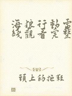 海狼行动电影在线观看完整版高清