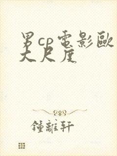 男cp电影欧美大尺度封面