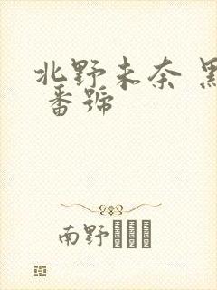 北野未奈 黑人 番号