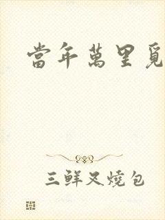 当年万里觅封侯