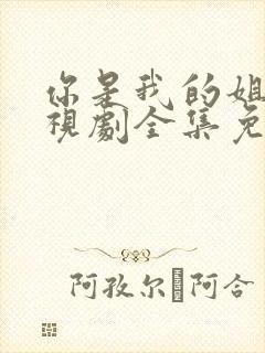 你是我的姐妹电视剧全集免费看