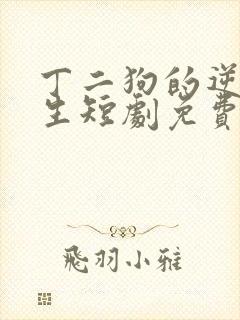 丁二狗的逆袭人生短剧免费看