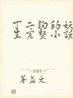 丁二狗的妖孽人生完整小说笔