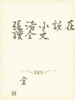 张浩小说在线阅读全文