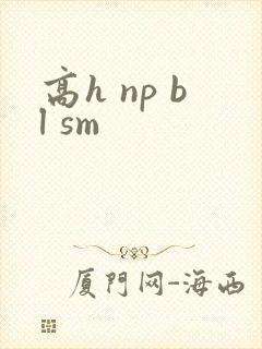 高h np bl sm封面