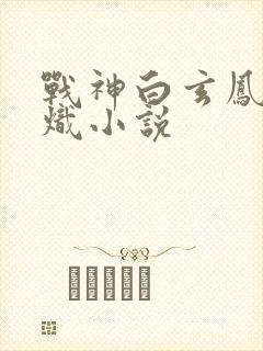 战神白玄凤凰云炽小说