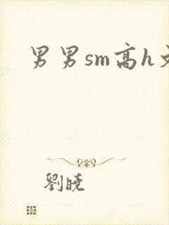 男男sm高h文
