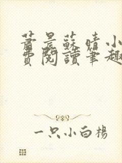 萧晨苏晴小说免费阅读笔趣阁