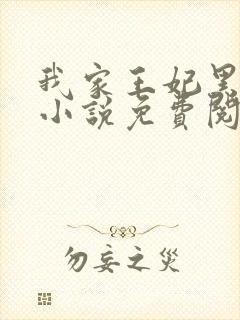 我家王妃黑化了小说免费阅读