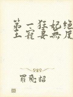 第一狂妃绝色邪王宠妻无度