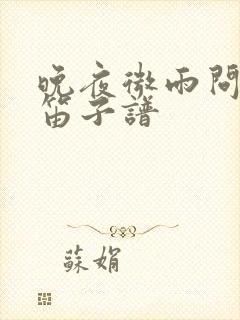 晚夜微雨问海棠笛子谱