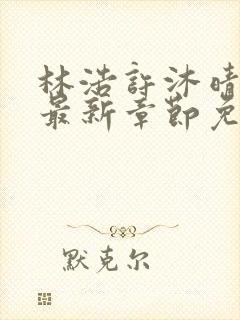 林浩许沐晴小说最新章节免费阅读全文封面