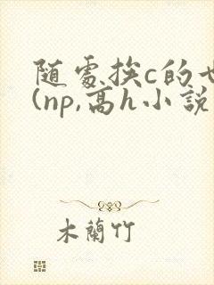 随处挨c的世界(np,高h小说