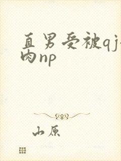 直男受被qj全肉np封面
