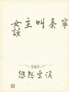 女主叫秦宁的小说