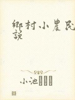 乡村小农民的小说