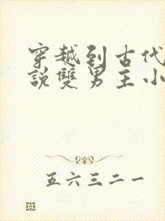 穿越到古代的小说双男主小说封面