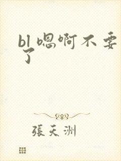 bl 嗯啊不要了封面