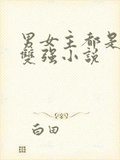 男女主都是军人双强小说封面