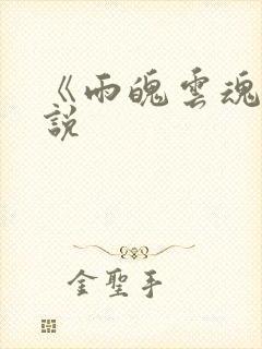 《雨魄云魂》小说封面