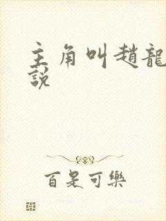 主角叫赵龙的小说