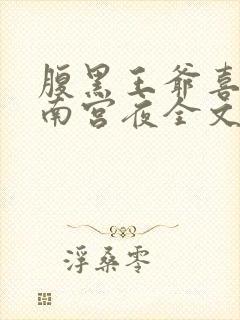 腹黑王爷喜当爹南宫夜全文免费阅读