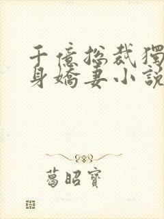 千亿总裁独宠替身娇妻小说完整