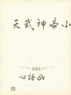 天武神帝小说看