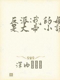 反派:我的母亲是大帝 小说封面