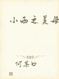 小西之美母教师封面