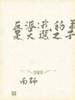 反派:我的弟弟是天选之子小说