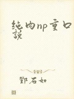 纯肉np重口小说