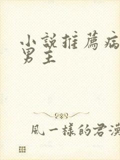 小说推荐病娇双男主