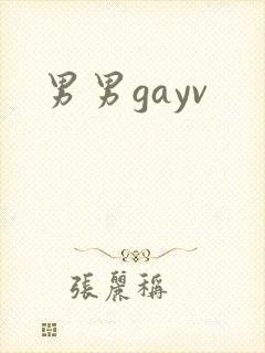 男男gayv