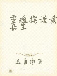 灵魂摆渡黄泉篇长生