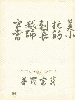 穿越到抗美援朝当师长的小说