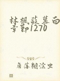 林枫苏慕白最新章节1270